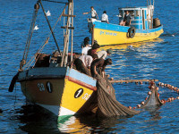 Ley de Pesca y democracia representativa
