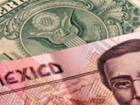 Consideraciones sobre el traspaso de movimientos cambiarios a los precios en México