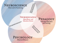 Aprendizaje: Neurociencia, Psicología Cognitiva, Incentivos y Tecnología