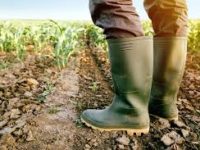 Colombia: un país rezagado en desarrollo agropecuario y en la política frente al sector