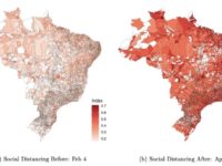 Liderazgo durante la pandemia: el efecto Bolsonaro en el distanciamiento social