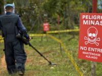 Efectos esperados y no-esperados de la remoción de minas antipersonales