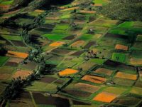 Participación en mercados, tamaño de las fincas y productividad agrícola en Colombia