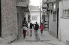 Encuesta Panel de Niños, Niñas y Adolescentes Venezolanos