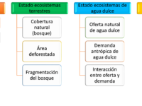 Condiciones socioeconómicas y de conflictos socioambientales en el bioma amazónico colombiano: ideas para la COP 16