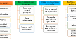 Condiciones socioeconómicas y de conflictos socioambientales en el bioma amazónico colombiano: ideas para la COP 16